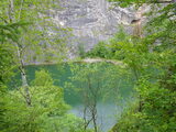 IMGP0015.JPG
