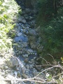 IMGP0081.JPG