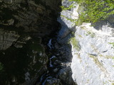 IMGP0083.JPG