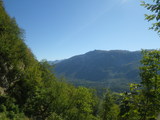 IMGP0090.JPG