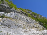 IMGP0091.JPG