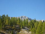 IMGP0108.JPG