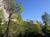 IMGP0110.JPG