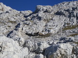 IMGP0170.JPG