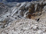 IMGP0224.JPG