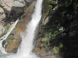 IMG_0764.JPG