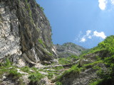 IMG_0771.JPG