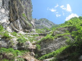 IMG_0773.JPG