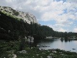 IMG_0781.JPG