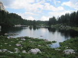 IMG_0783.JPG