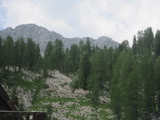 IMG_0784.JPG