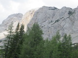 IMG_0785.JPG