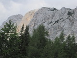 IMG_0786.JPG