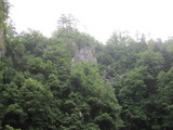 IMG_0795.JPG