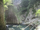 IMG_0802.JPG