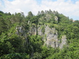 IMG_0809.JPG
