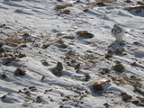 IMGP0694.JPG