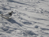 IMGP0695.JPG