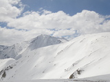 IMGP0706.JPG