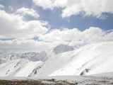 IMGP0707.JPG