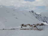 IMGP0710.JPG