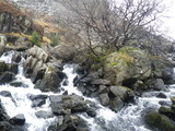 IMGP0646.JPG