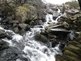 IMGP0647.JPG