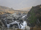 IMGP0652.JPG