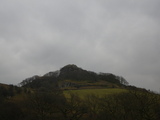 IMGP0659.JPG