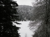 IMGP0834.JPG