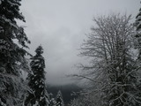 IMGP0840.JPG