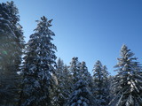 IMGP0845.JPG