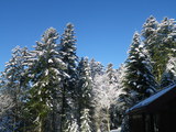 IMGP0847.JPG