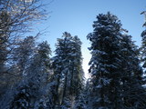 IMGP0848.JPG
