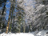 IMGP0849.JPG