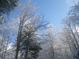 IMGP0852.JPG