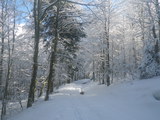 IMGP0853.JPG