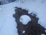 IMGP0855.JPG