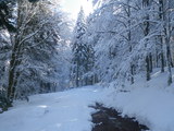 IMGP0856.JPG