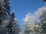 IMGP0857.JPG