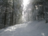 IMGP0858.JPG