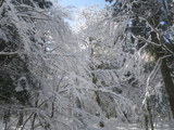 IMGP0860.JPG