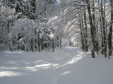 IMGP0863.JPG