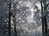 IMGP0864.JPG