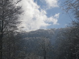 IMGP0867.JPG