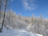 IMGP0868.JPG