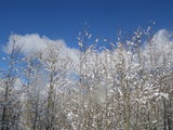 IMGP0869.JPG