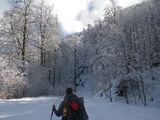 IMGP0870.JPG