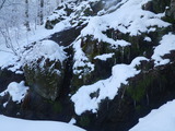 IMGP0871.JPG