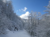 IMGP0872.JPG